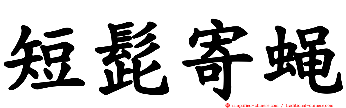 短髭寄蝇