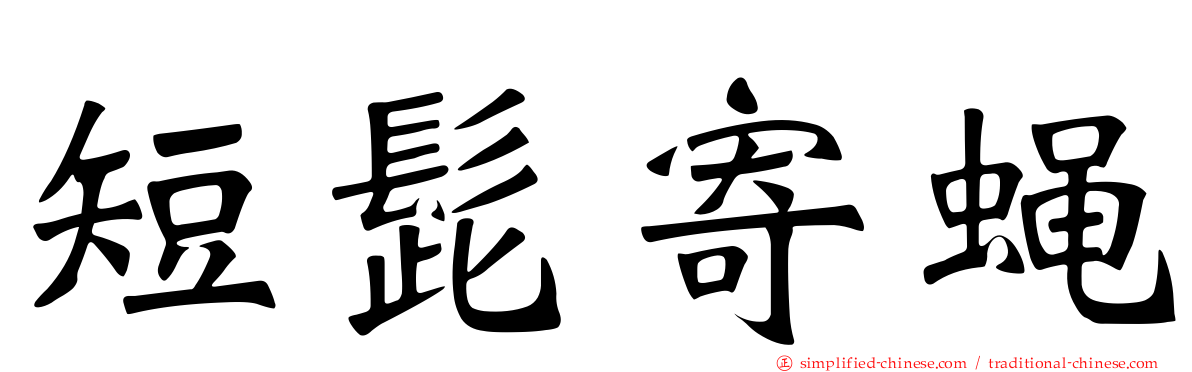 短髭寄蝇