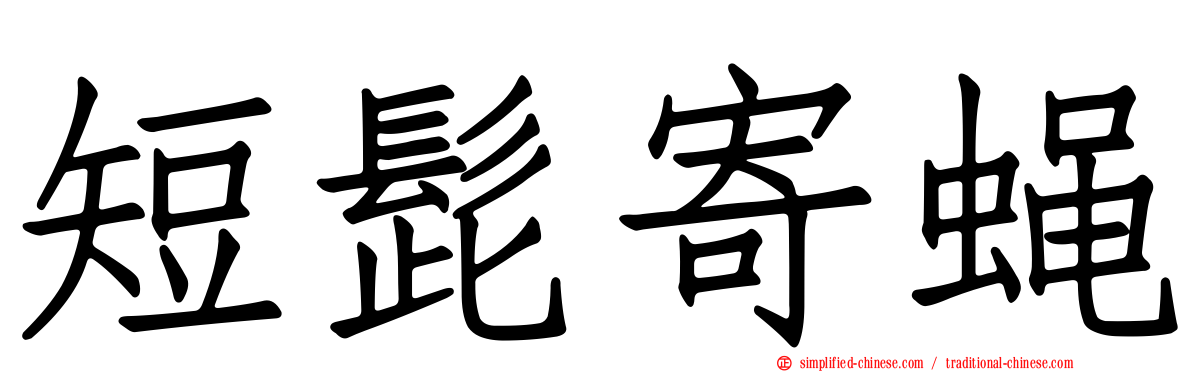 短髭寄蝇