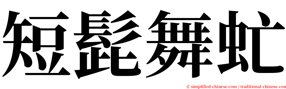 短髭舞虻 serif font