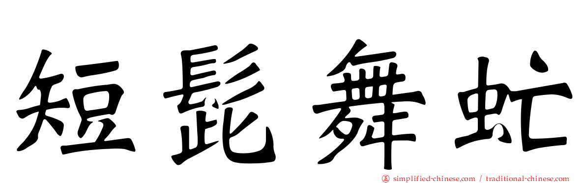 短髭舞虻