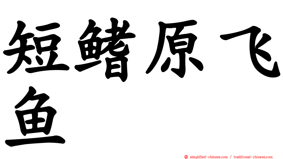 短鳍原飞鱼