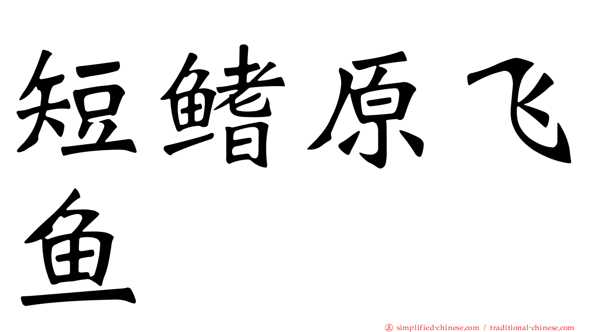 短鳍原飞鱼