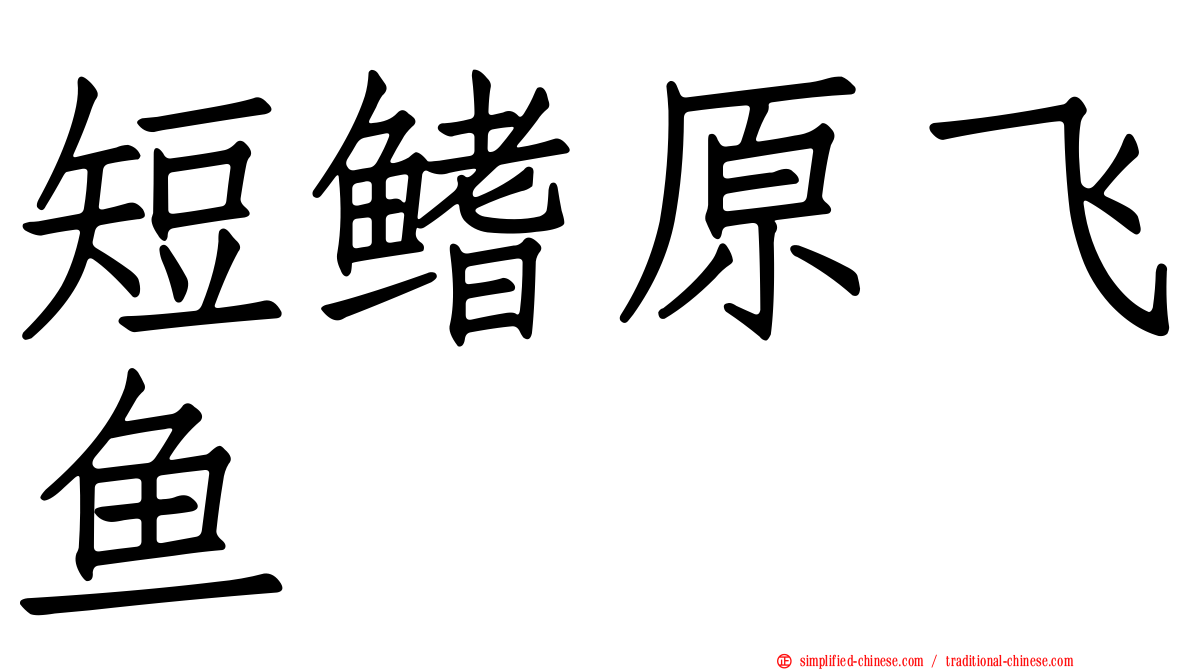 短鳍原飞鱼