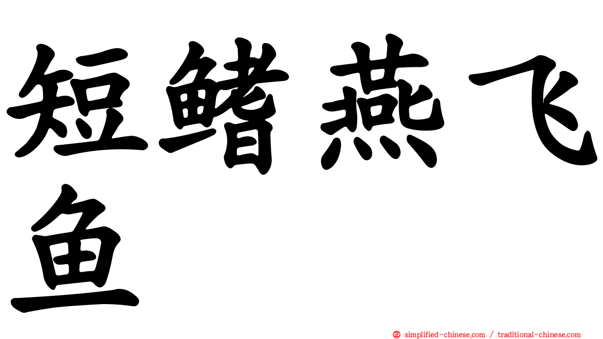 短鳍燕飞鱼