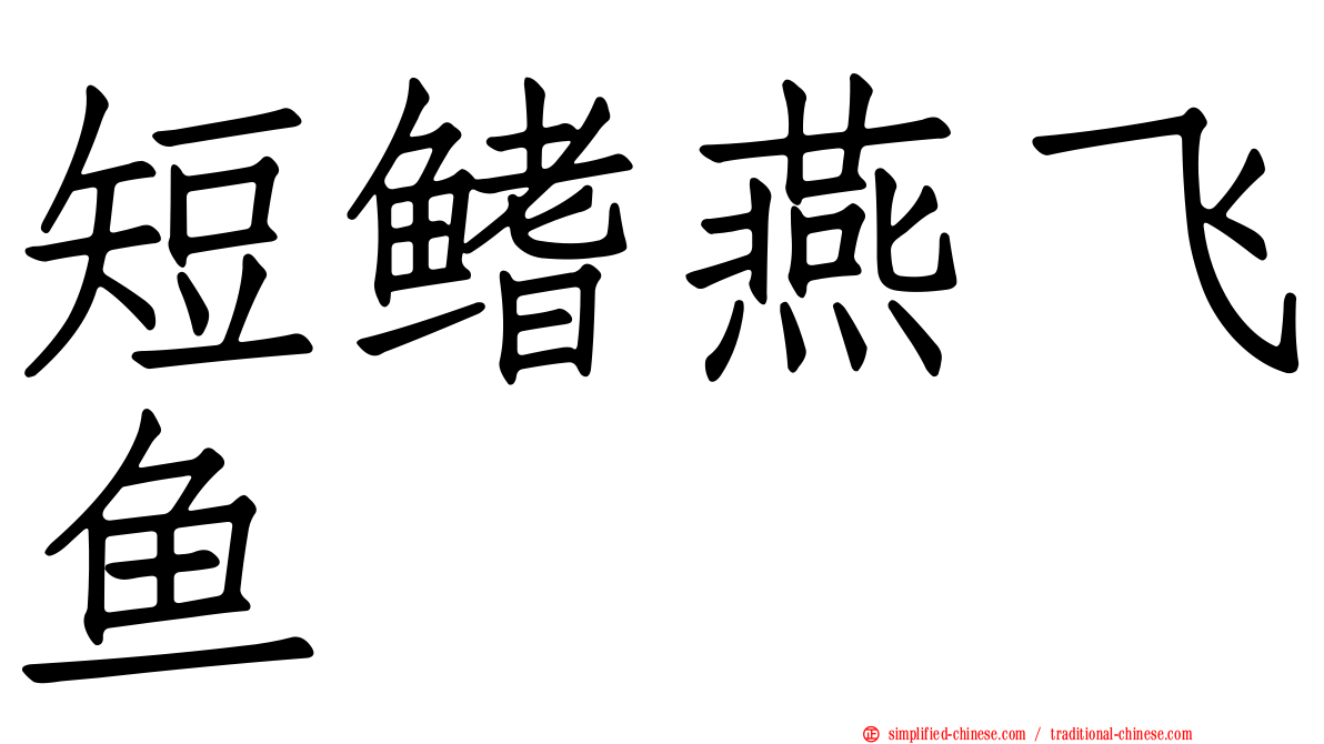 短鳍燕飞鱼