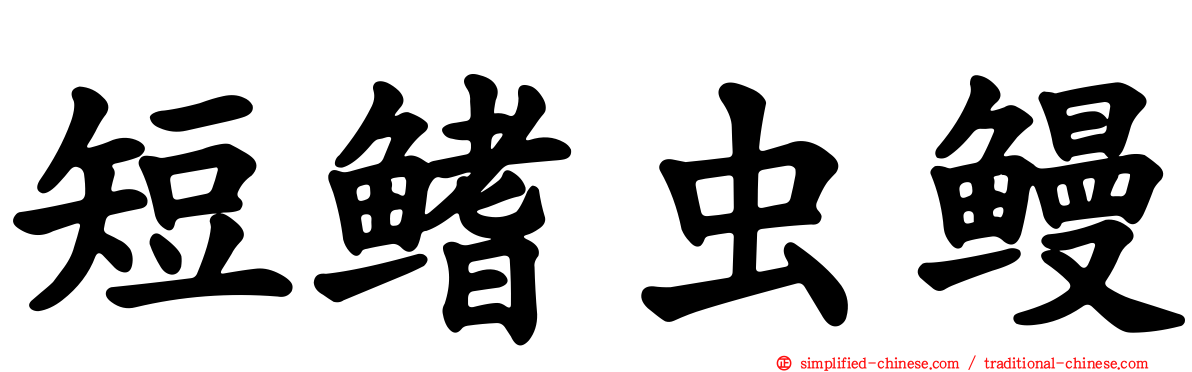 短鳍虫鳗