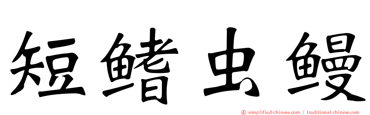 短鳍虫鳗