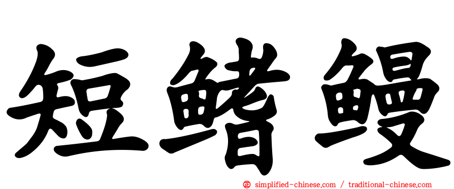 短鳍鳗