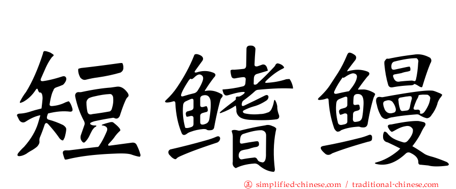 短鳍鳗