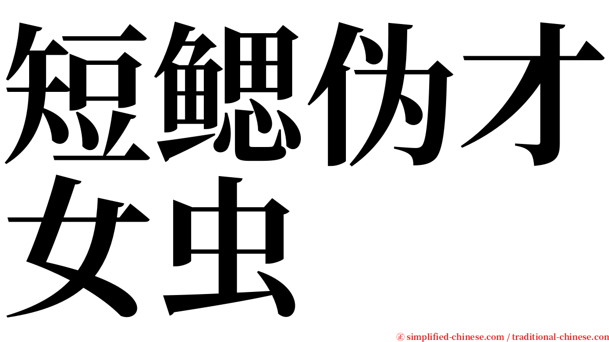 短鳃伪才女虫 serif font