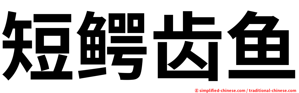 短鳄齿鱼