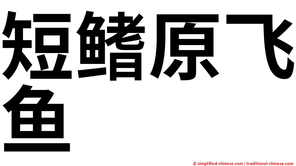 短鳍原飞鱼