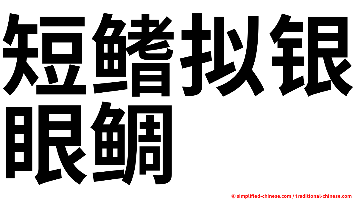短鳍拟银眼鲷