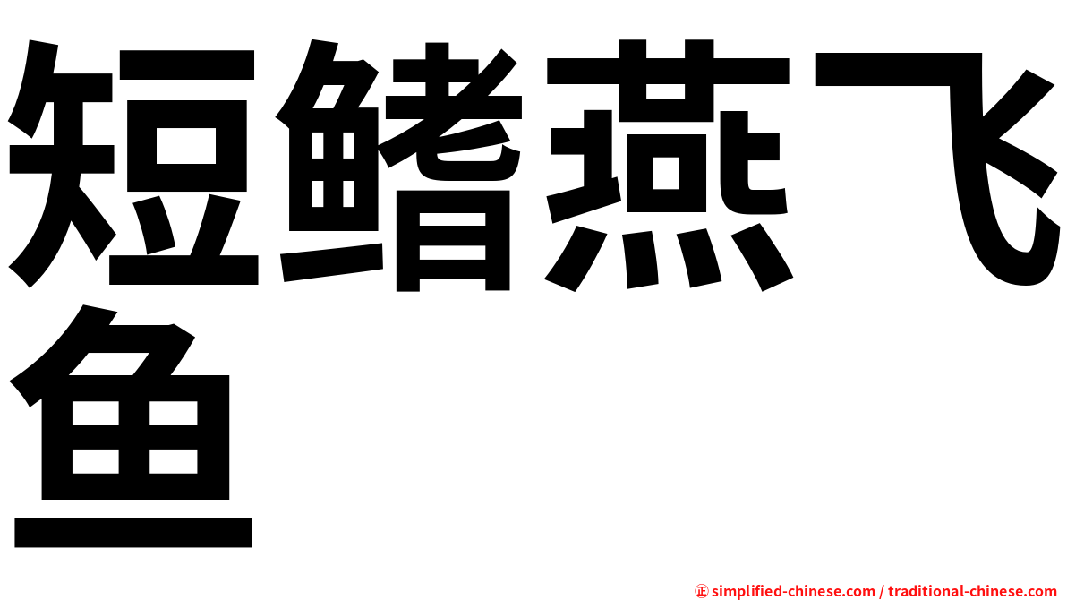 短鳍燕飞鱼