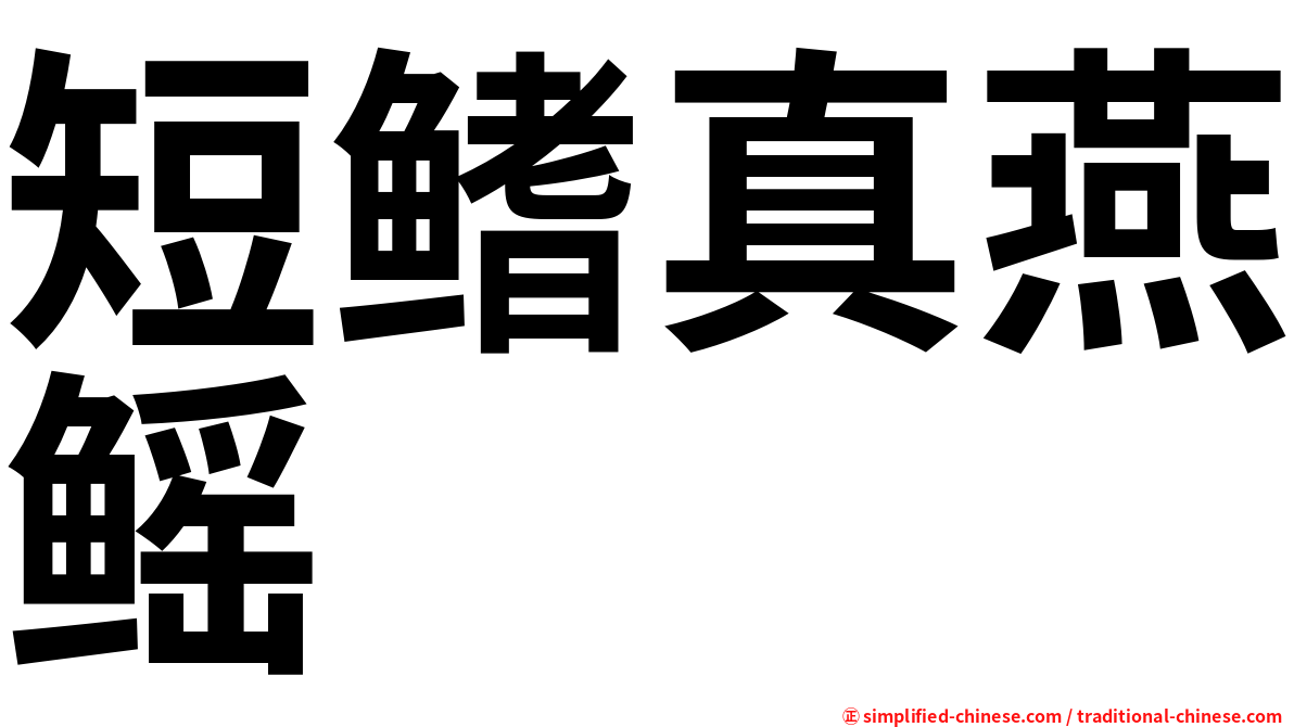 短鳍真燕鳐