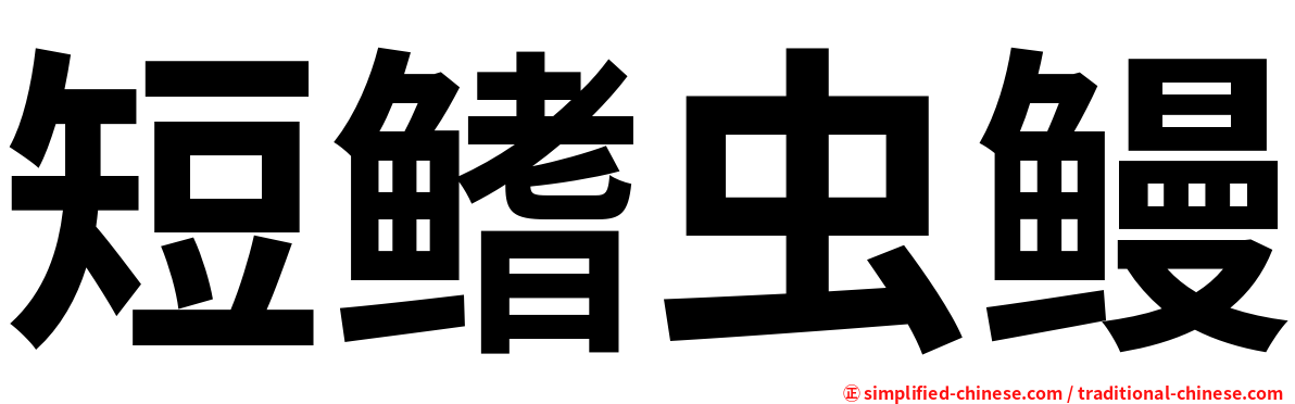 短鳍虫鳗