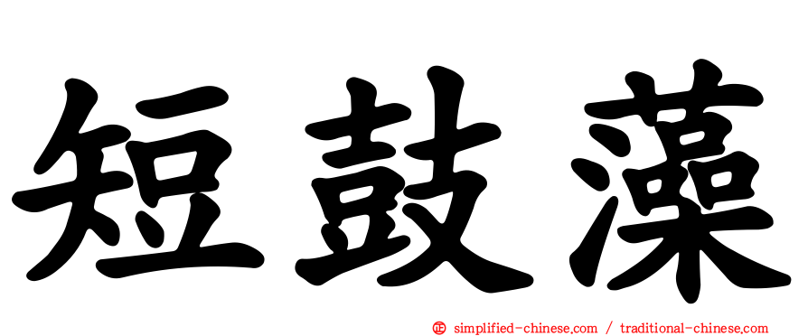短鼓藻