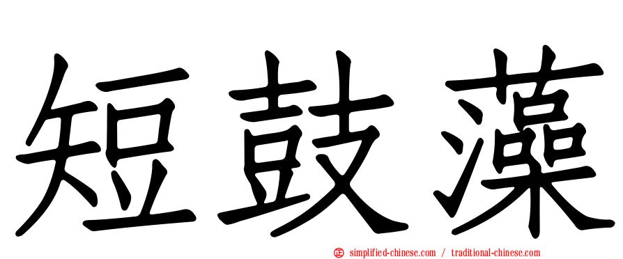 短鼓藻