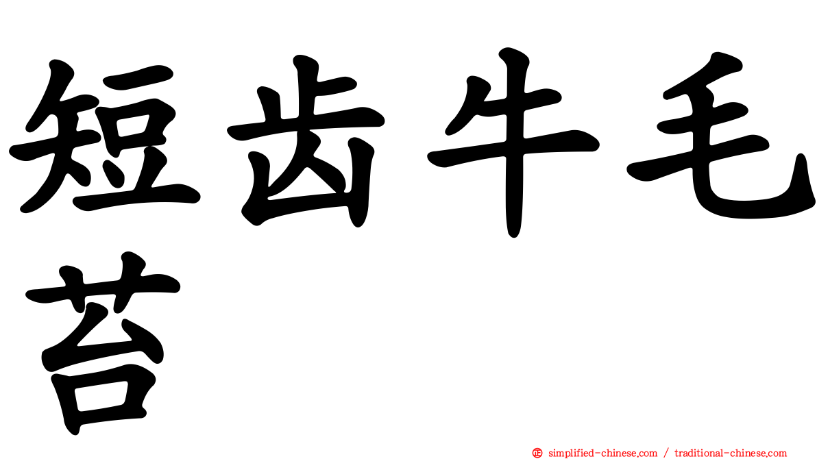 短齿牛毛苔
