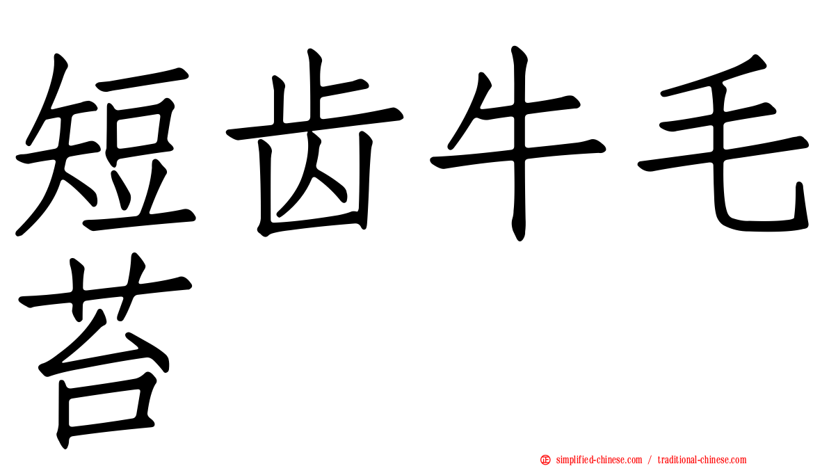 短齿牛毛苔