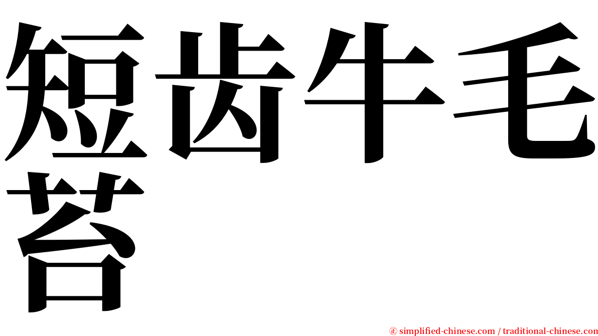 短齿牛毛苔 serif font
