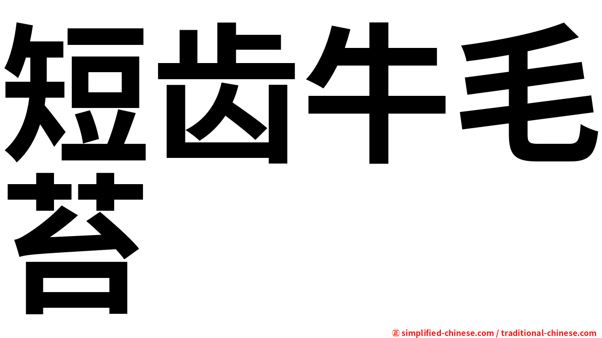 短齿牛毛苔