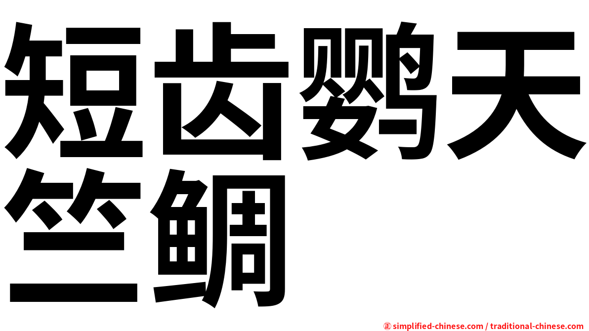 短齿鹦天竺鲷