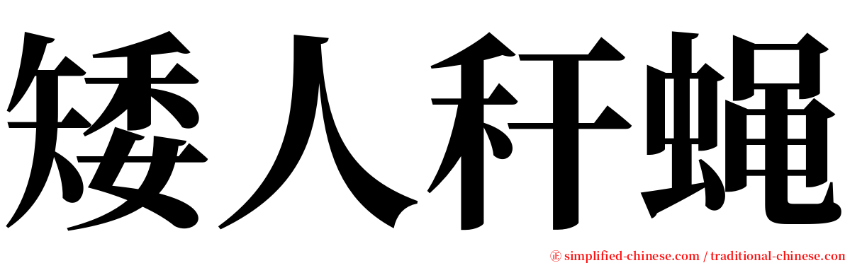 矮人秆蝇 serif font