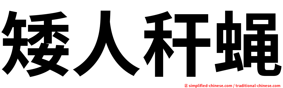 矮人秆蝇