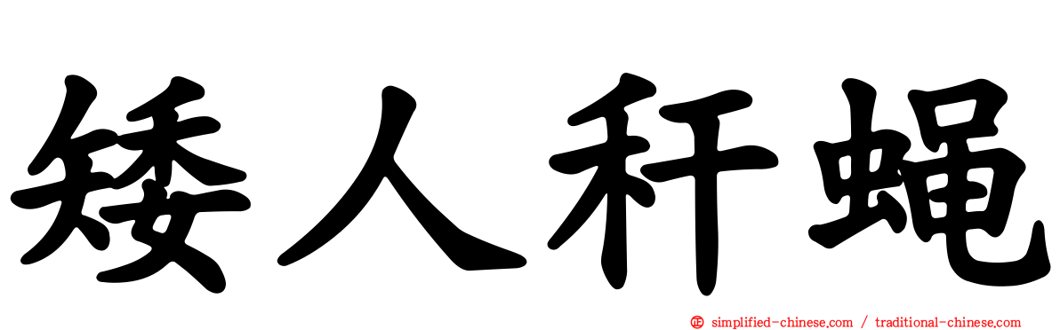矮人秆蝇