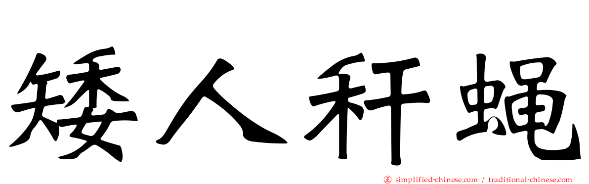矮人秆蝇