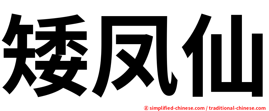 矮凤仙