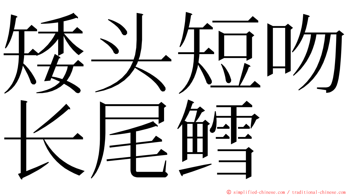 矮头短吻长尾鳕 ming font