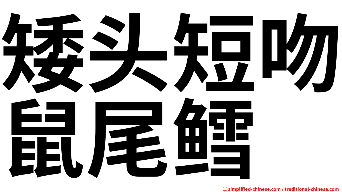 矮头短吻鼠尾鳕