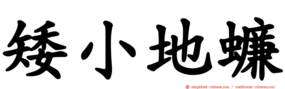 矮小地蠊