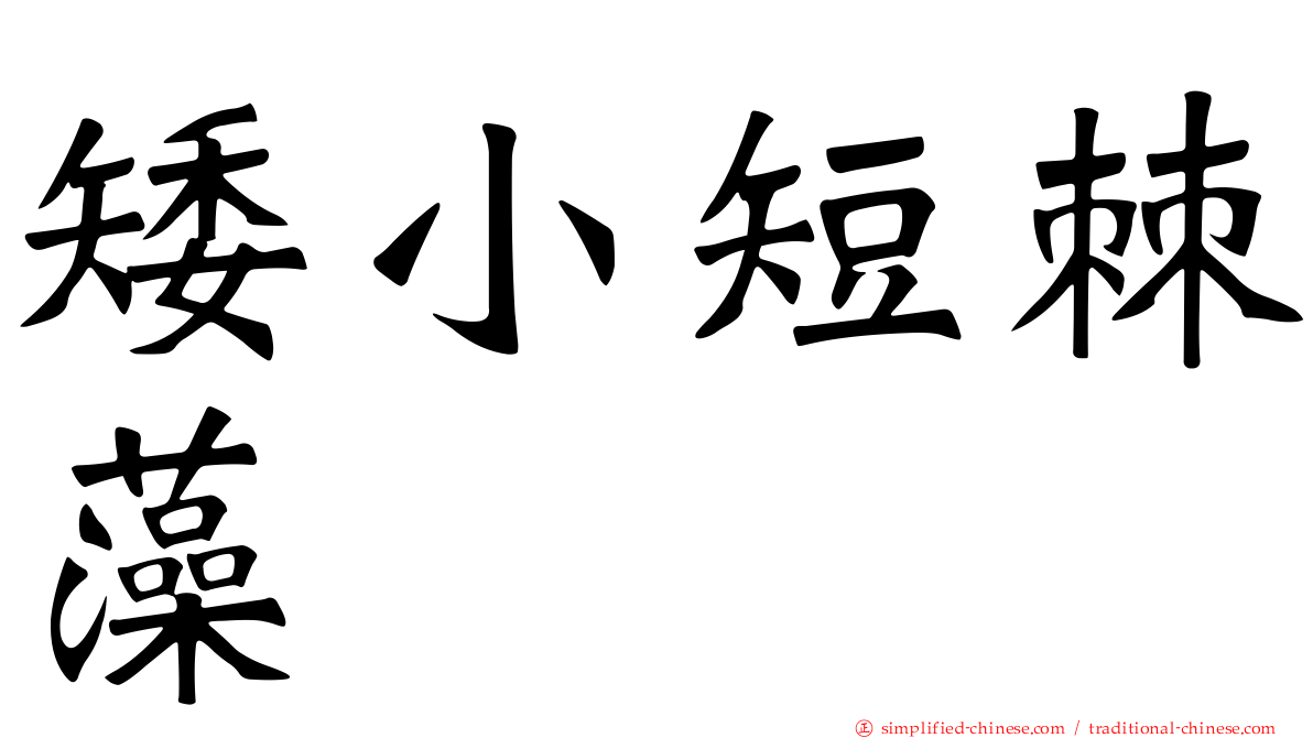 矮小短棘藻