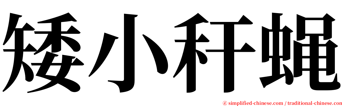 矮小秆蝇 serif font