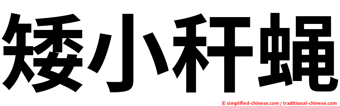 矮小秆蝇
