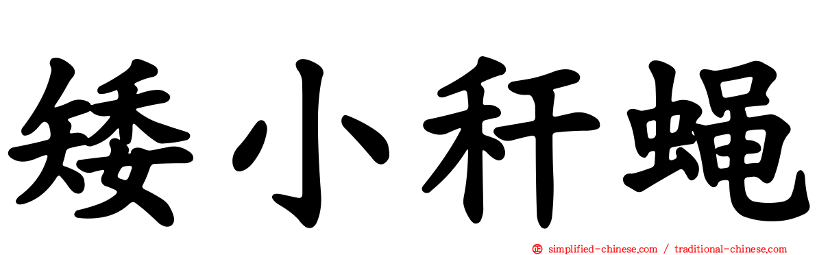 矮小秆蝇