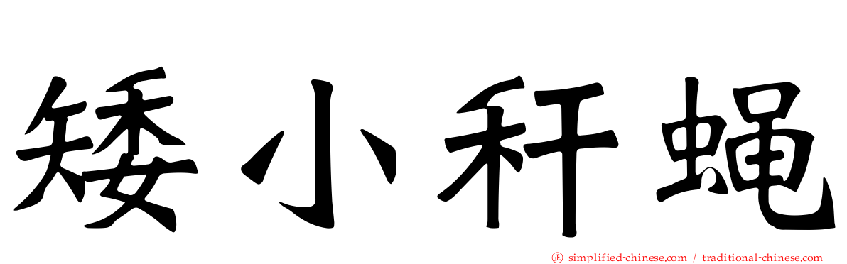 矮小秆蝇