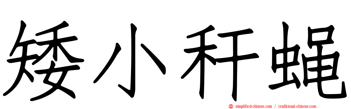矮小秆蝇