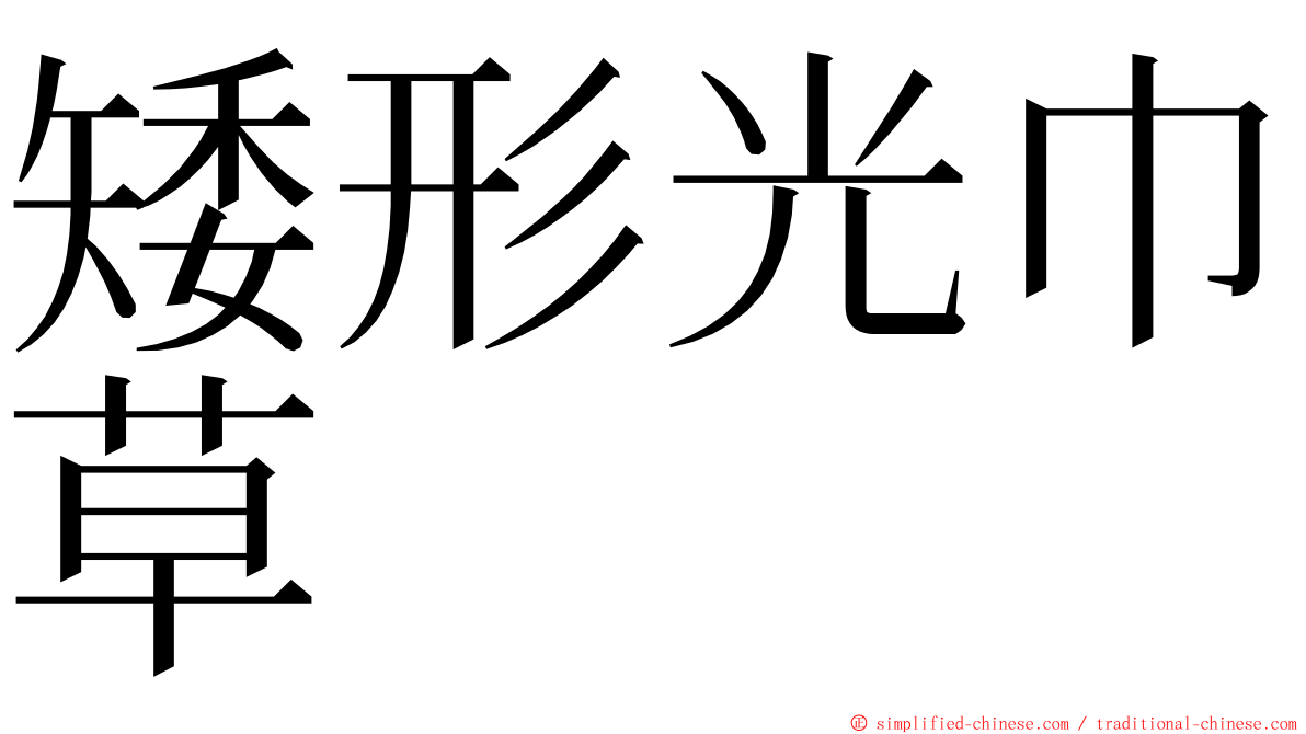 矮形光巾草 ming font
