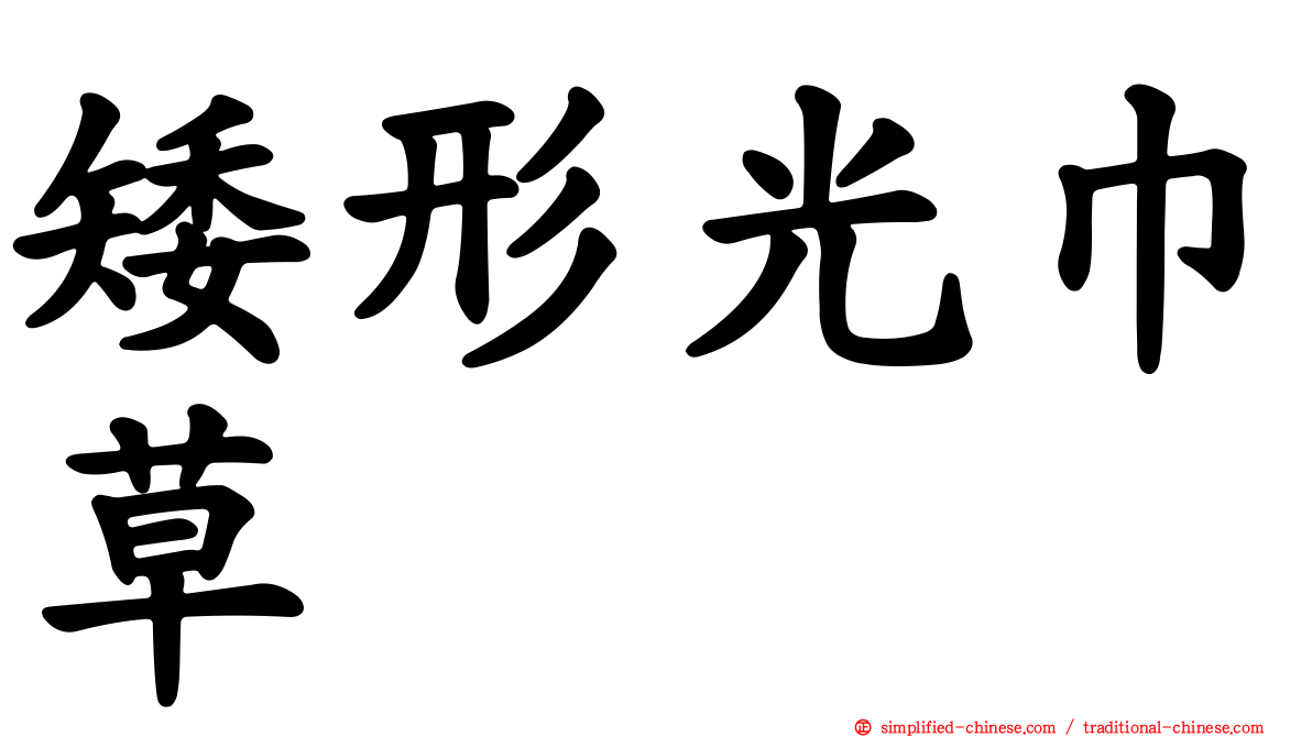 矮形光巾草