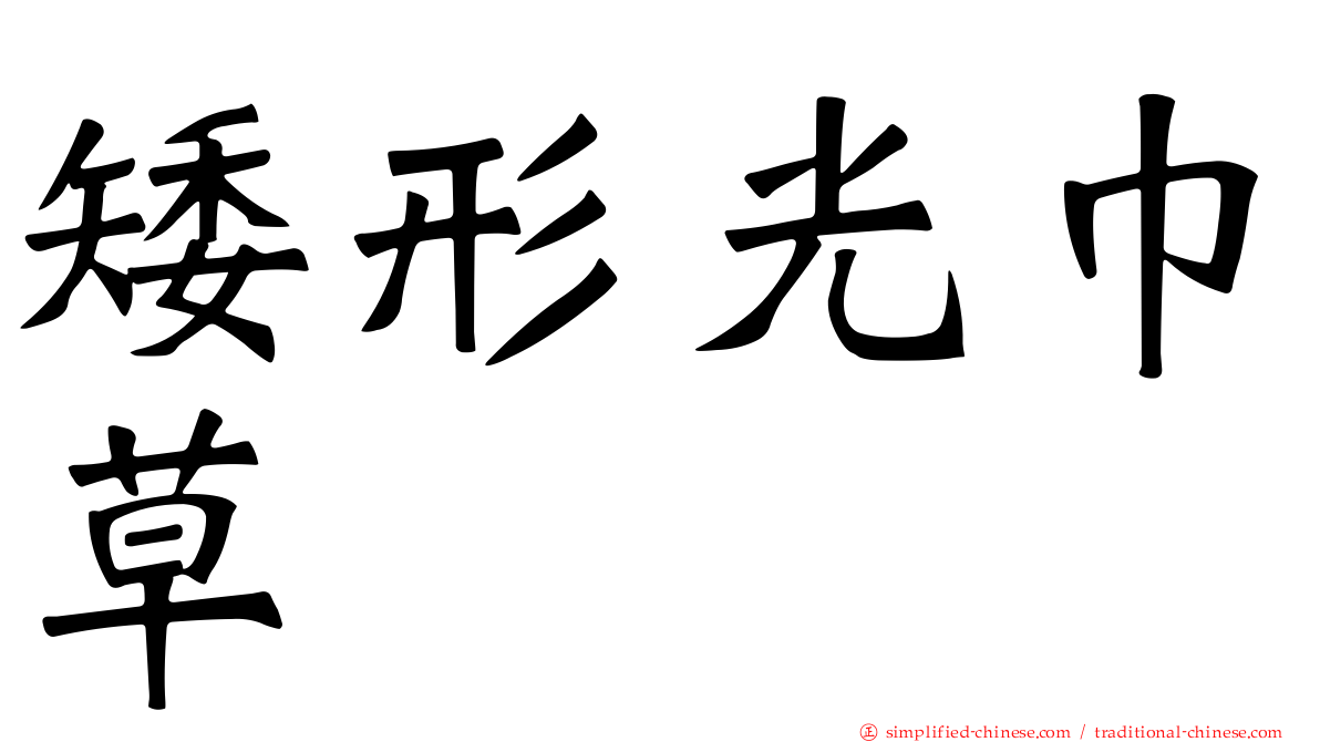 矮形光巾草