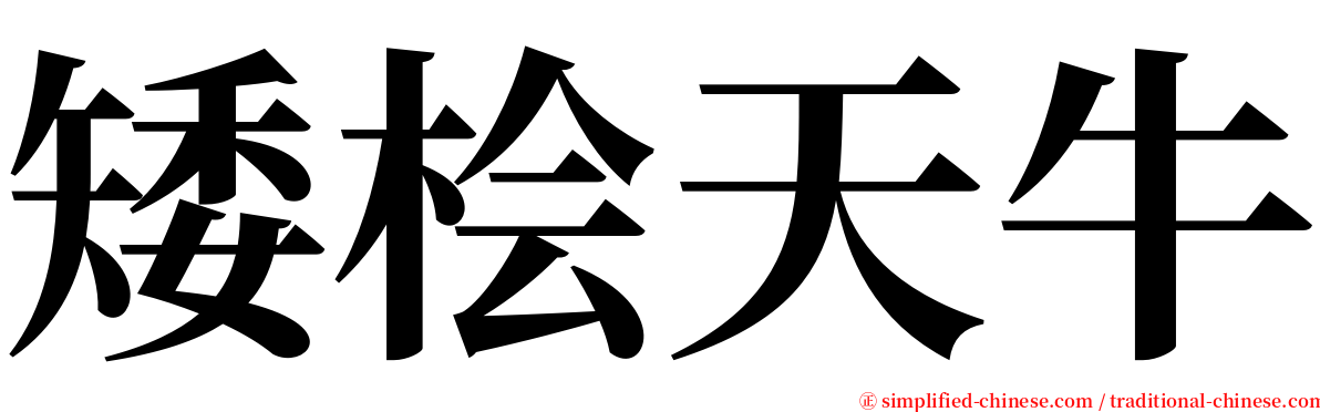 矮桧天牛 serif font