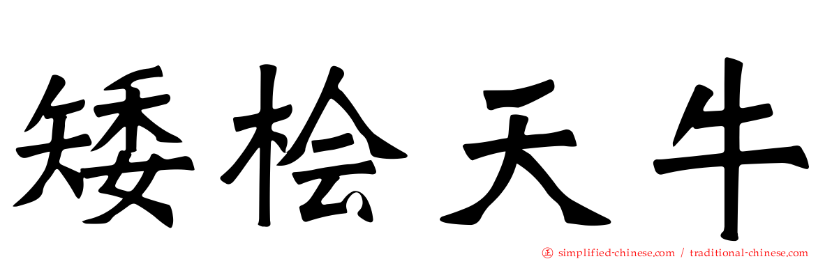 矮桧天牛