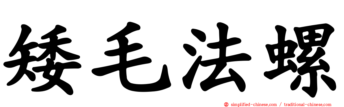 矮毛法螺