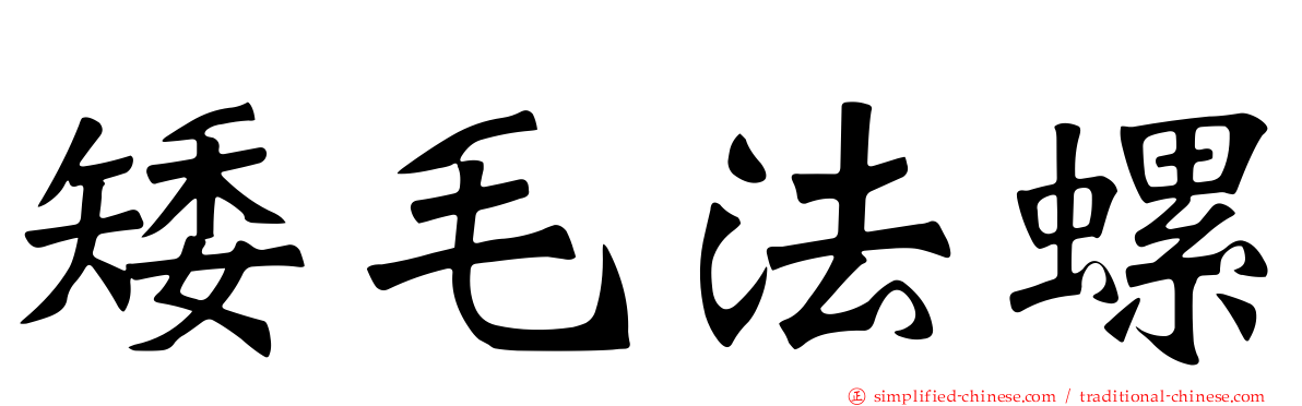 矮毛法螺