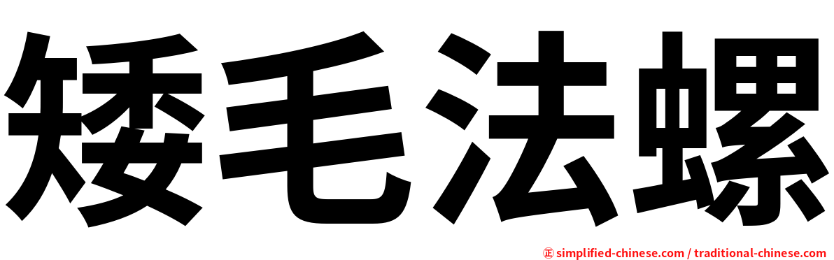 矮毛法螺